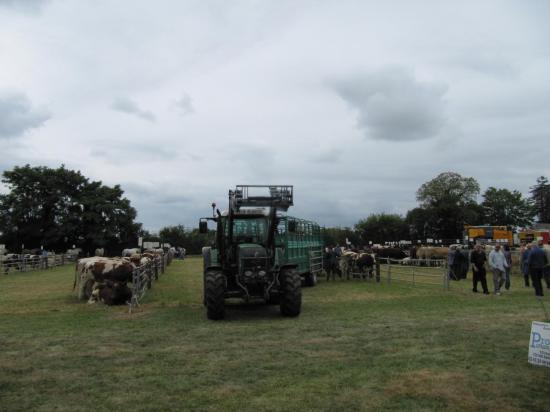 comice conlie 2012 001