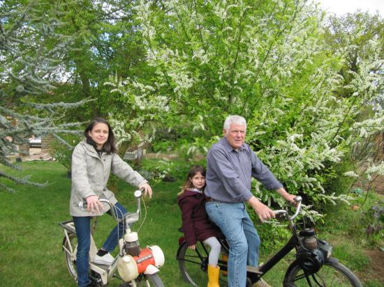 vive le solex